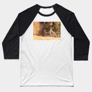 Gamble Quail Baseball T-Shirt